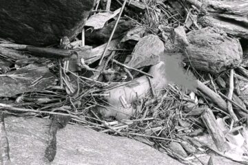 भानुमा बेपत्ता किशोरीको रहस्यमय मृत्यु, पालुङटारमा शव फेला