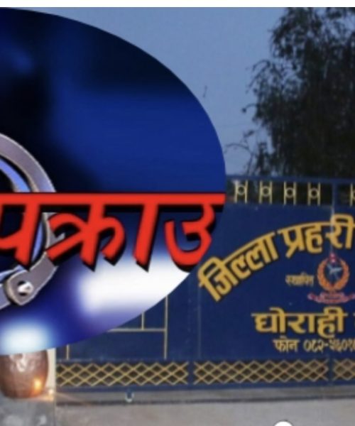 प्रहरीले १२ जुवाडे पक्राउ गरेको छ ।