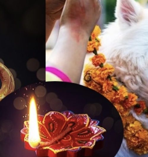 आज कुकुर तिहार र नरक चतुर्दशी मनाईंदैछ